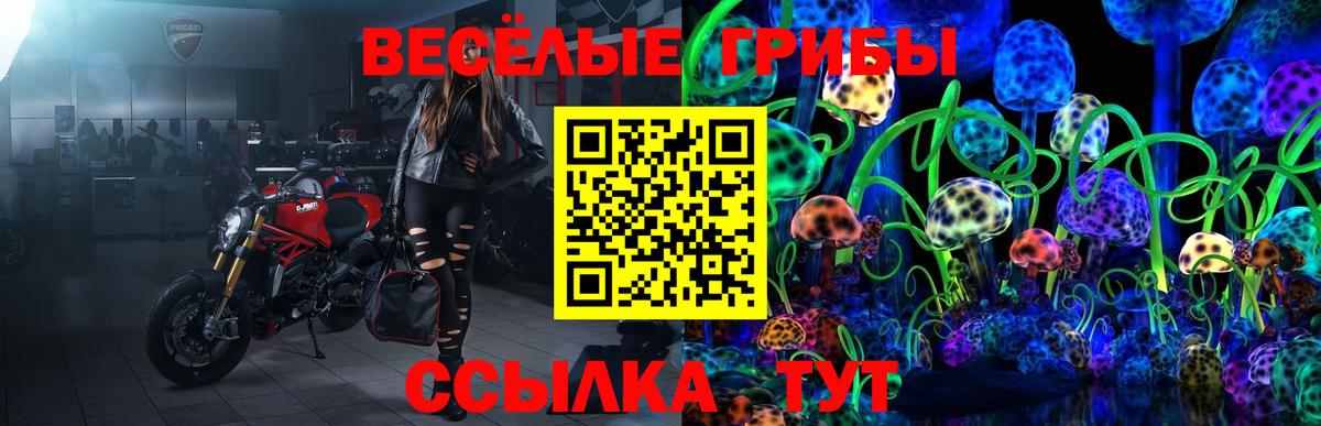 Псилоцибиновые грибы MAGIC MUSHROOMS  Вход с VPN  Псилоцибиновые грибы Psilocybine cubensis  Златоуст 